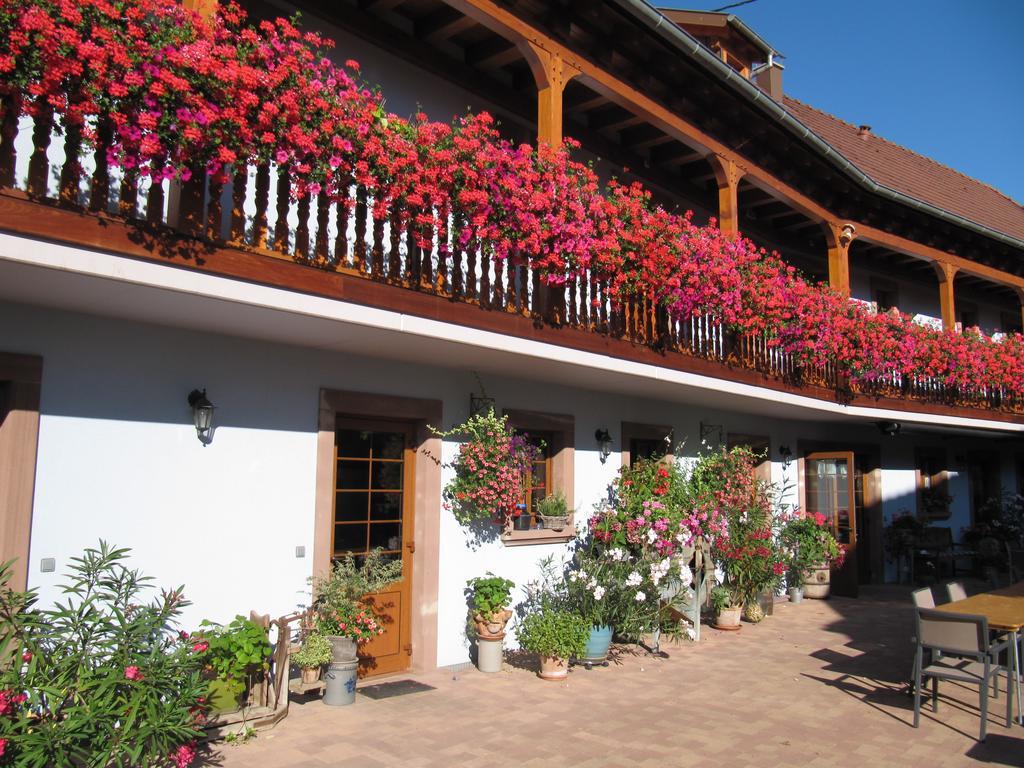 La Ferme De Louise Bed and Breakfast Hohengoeft Εξωτερικό φωτογραφία