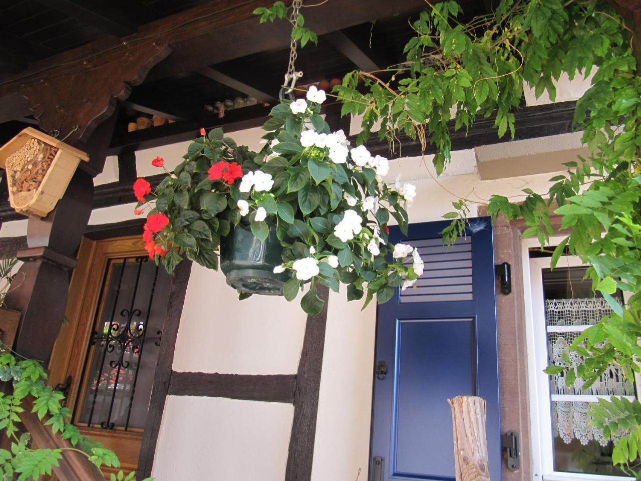 La Ferme De Louise Bed and Breakfast Hohengoeft Εξωτερικό φωτογραφία